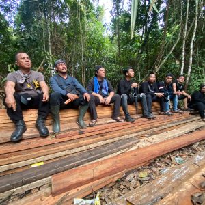Ditengah Bencana Sumatera, Polres Inhu Dan Tim Gabungan Cegah Kerusakan Hutan Dan Temukan Ratusan Kubik Kayu
