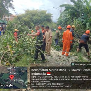 Gerak Cepat Pemerintah Kecamatan, BPBD Maros dan PLN Tangani Pohon Tumbang di Dusun Jawi-Jawi