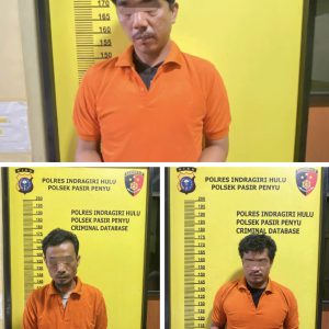Dalam 2,5 Jam Polsek Pasir Penyu Gulung 3 Pelaku Narkoba, Ratusan Gram Sabu Disita