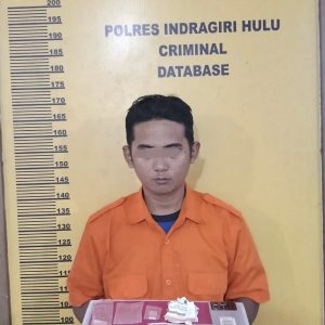 Satres Narkoba Polres Inhu Ringkus Pelaku Asal Kuala Cenaku, 13 Paket Sabu Disita