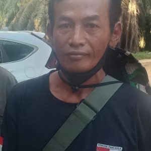 Beratribut Ormas dan Bawa Senjata Tajam, Kelompok Jonny Wardi Panen TBS di Kebun eks PT SAL
