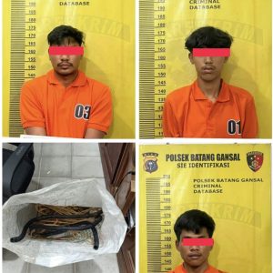 Polsek Batang Gansal Ringkus Komplotan Maling Kabel Grounding Tower