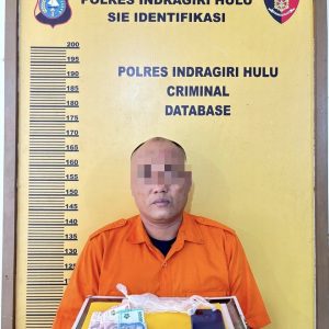 Oknum P3K Paruh Waktu Satpol PP Kab Inhu Ditangkap Polisi, Ternyata Ini Kasusnya