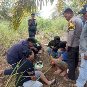 Narkoba di Pedalaman Inhu, Polsek Batang Cenaku Ringkus Pria di Desa Anak Talang