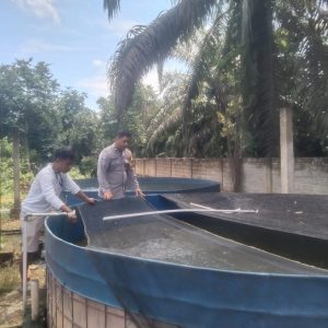 Swasembada Pangan Dengan Ikan Lele, Bhabinkamtibmas Polsek Kelayang Dampingi Warga Langsung