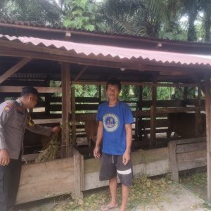 Personel Polsek Kelayang Pantau Langsung Kepeternak, Swasembada Pangan Daging Dapat Tercapai