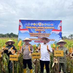 Panen Jagung Pipil Kuartal II Ketahanan Pangan Bersama Presiden, Ini Pesan Kapolres dan Bupati Inhu