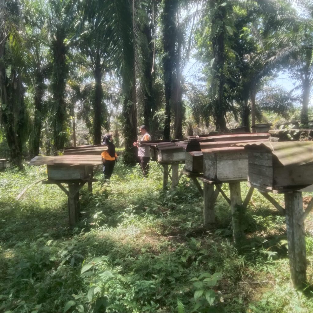 DDS Bhabinkamtibmas Polsek Kelayang, Polisi Cinta Petani dan Manisnya Madu