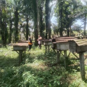 DDS Bhabinkamtibmas Polsek Kelayang, Polisi Cinta Petani dan Manisnya Madu