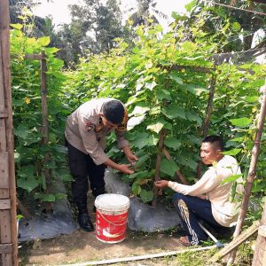 Bhabinkamtibmas Rengat Barat Aktif Dampingi Warga Kelola Pekarangan Produktif