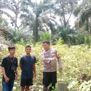 Polisi Cinta Petani, Polres Inhu Fokus Motivasi Pemanfaatan Pekarangan Produktif Warga