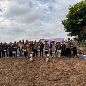 Polsek Cerenti Pimpin Penanaman Jagung Pipil Dukung Ketahanan Pangan di Desa Sikakak