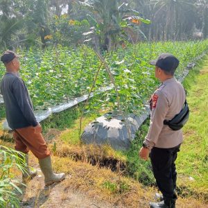 Sambang Dialogis Personel Polres Inhu, Wujudkan Ketahanan Pangan Nasional