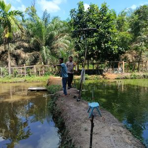 Bhabinkamtibmas Polsek Kelayang Dorong Ketahanan Pangan Lewat Sambang Peternakan Ikan Nila Warga