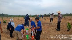 Target Ketahanan Pangan Nasional, Polres Inhu Kembali Tanam Jagung Pipil Bersama Kelompok Tani