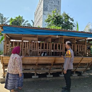 Gunakan Manajemen Peternakan Modern, Pesan Bhabinkamtibmas Polres Inhu Untuk Ketahanan Pangan