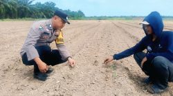 Polsek Rengat Barat Bersama Babinkamtibmas Monitoring Program Ketahanan Pangan