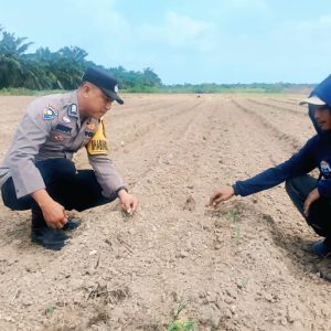 Polsek Rengat Barat Bersama Babinkamtibmas Monitoring Program Ketahanan Pangan