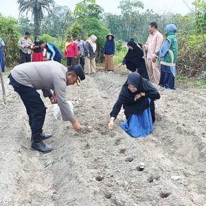 Swasembada Pangan Jagung Pipil Nasional, Polres Inhu Tanam hingga Pantau Perkembangan Tanaman