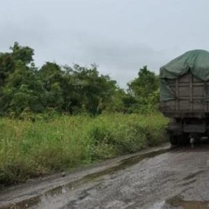 AMPAK Riau Desak Aparat Hukum Tindak PT EPE atas Dugaan Kerusakan Jalan Sungai Rawa