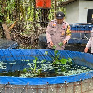 Polsek Lirik Dukung Ketahanan Pangan, Cek Budidaya Ikan Nila dan Lele Binaan di Desa Rejosari