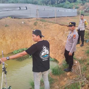 Kapolsek Batang Cenaku Sambangi Peternak Ikan Nila, Dorong Percepatan Swasembada Pangan