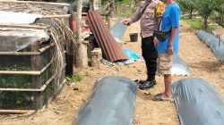 Jagung dan Cabe untuk Ketahanan Pangan, Polres Inhu Terus Monitoring