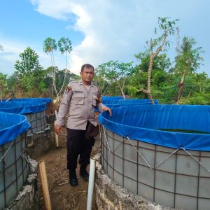 Kapolsek Lirik Cek Peternakan Ikan Binaan di Desa Sukajadi, 1000 Bibit Gurame dan Lele Dibudidayakan Kelompok Tani