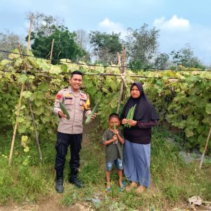 Babinkamtibmas Polsek Rengat Barat giat Monitoring lahan pekarangan Ketahan Pangan di 6 Desa