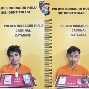 Aksi Kejar-Kejaran Antara Polisi Dan Pengedar Sabu di Kebun Sawit, Satresnarkoba Polres Inhu Ringkus Dua Pelaku