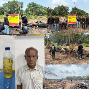 Gara-gara Usir Nyamuk, Seorang Pensiunan Bakar Lahan Dan Hanguskan Kebun Sawit di Inhu   