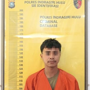 Maling Motor, Polsek Batang Cenaku Bekuk Pelaku   