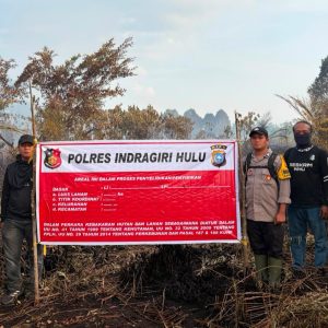 Buang Puntung Rokok Sembarangan Picu Kebakaran 5 Hektare Kebun, Pelangsir Sawit Dibekuk Polisi   