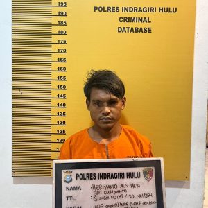 Kabur ke Inhil dan Masuk Semak Belukar, Satreskrim Polres Inhu Tetap Bekuk Pelaku Maling Motor di Rengat