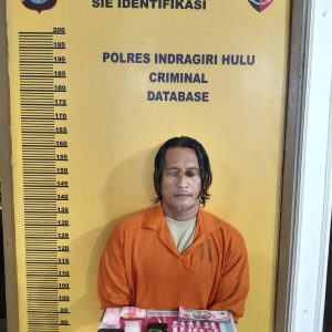Jadikan Rumahnya Sebagai Markas Jualan Narkotika, Nana Dibekuk Personel Polsek Rengat Barat   