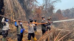 Terjun Langsung Padamkan Karhutla di Sungai Guntung Hilir, Bupati dan Kapolres Inhu Apresiasi Perjuangan Tim Gabungkan