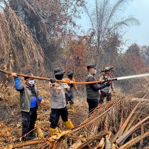 Terjun Langsung Padamkan Karhutla di Sungai Guntung Hilir, Bupati dan Kapolres Inhu Apresiasi Perjuangan Tim Gabungkan