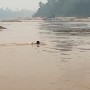 Tak Peduli Arus Dalam! IPDA Toni Berenang di Sungai Batang Kuantan Musnahkan 10 Rakit Peti