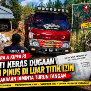 Diduga Garap Getah Pinus di Luar Titik Koordinat, KIFPA RI dan Lemkira Soroti Aktivitas di Laiya